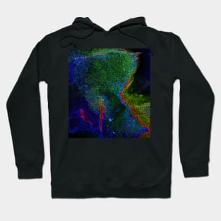 Black Panther Art - Glowing Edges 142 Hoodie